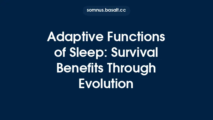 Adaptive Functions of Sleep: Survival Benefits Through Evolution Thumbnail