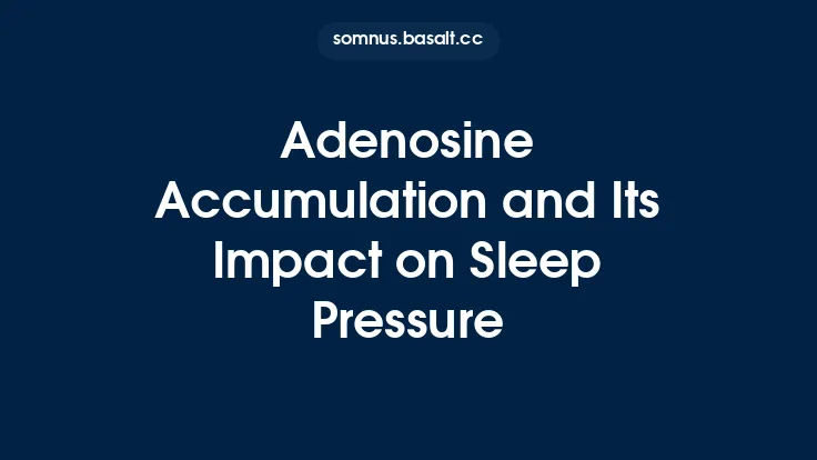 Adenosine Accumulation and Its Impact on Sleep Pressure Thumbnail
