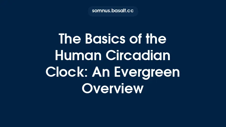 The Basics of the Human Circadian Clock: An Evergreen Overview Thumbnail