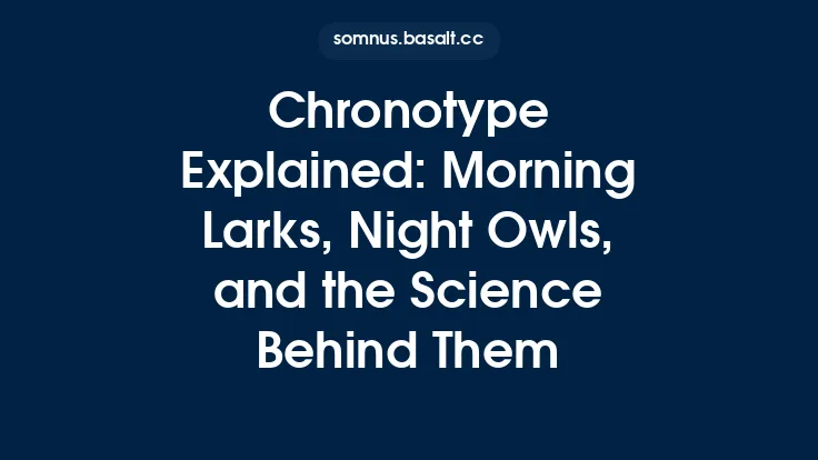 Chronotype Explained: Morning Larks, Night Owls, and the Science Behind Them Thumbnail