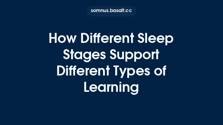 How Different Sleep Stages Support Different Types of Learning Thumbnail