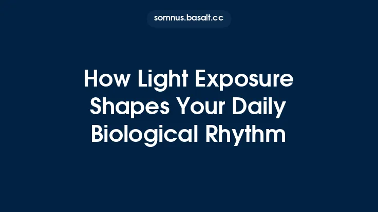 How Light Exposure Shapes Your Daily Biological Rhythm Thumbnail