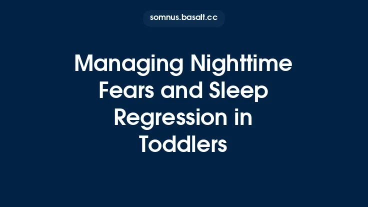 Managing Nighttime Fears and Sleep Regression in Toddlers Thumbnail