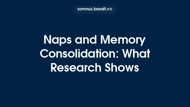 Naps and Memory Consolidation: What Research Shows Thumbnail