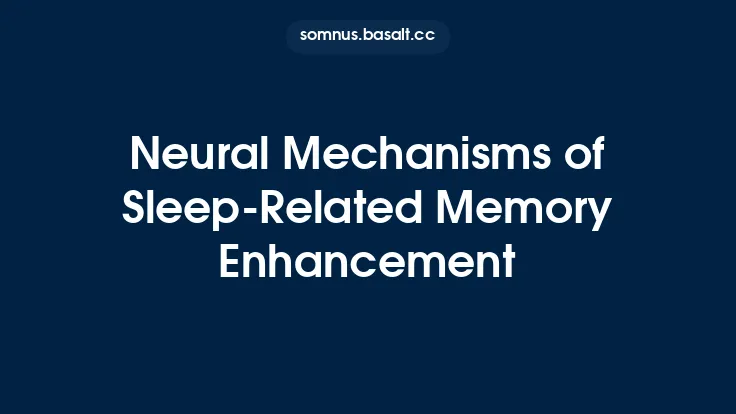 Neural Mechanisms of Sleep-Related Memory Enhancement Thumbnail