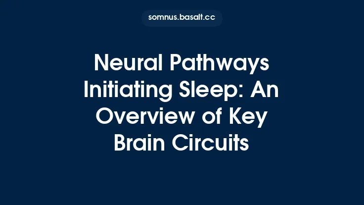 Neural Pathways Initiating Sleep: An Overview of Key Brain Circuits Thumbnail