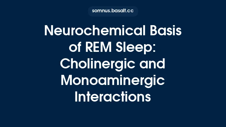 Neurochemical Basis of REM Sleep: Cholinergic and Monoaminergic Interactions Thumbnail