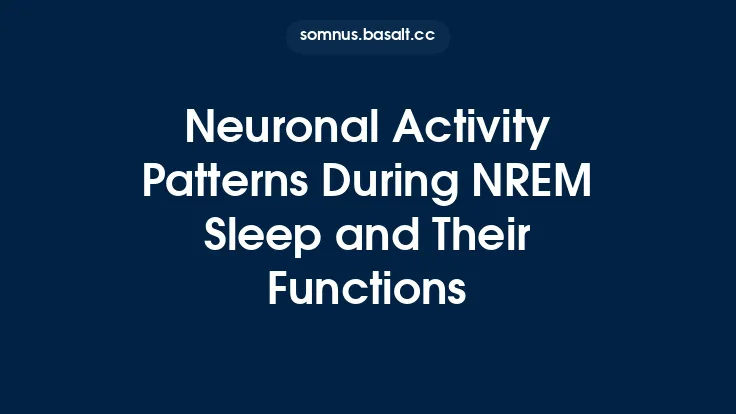 Neuronal Activity Patterns During NREM Sleep and Their Functions Thumbnail