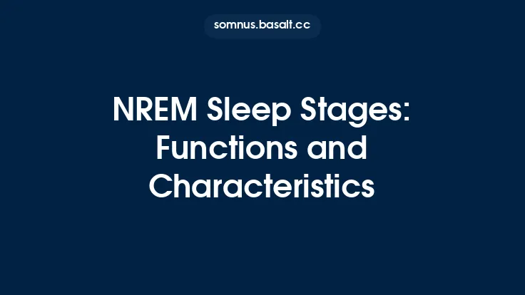 NREM Sleep Stages: Functions and Characteristics Thumbnail