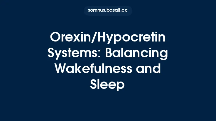 Orexin/Hypocretin Systems: Balancing Wakefulness and Sleep Thumbnail