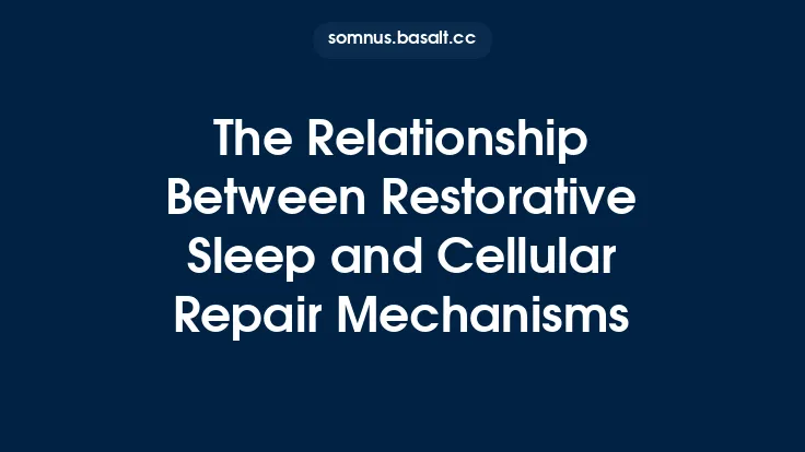 The Relationship Between Restorative Sleep and Cellular Repair Mechanisms Thumbnail
