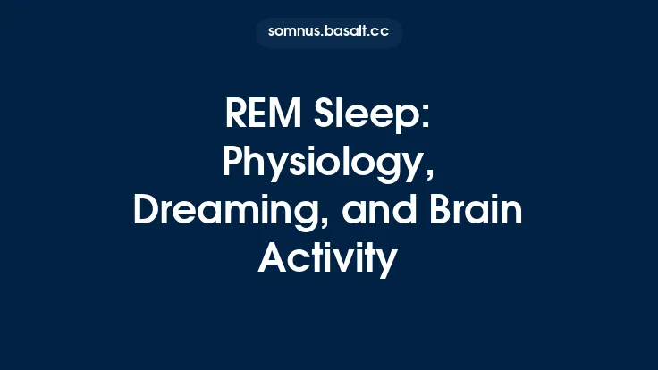 REM Sleep: Physiology, Dreaming, and Brain Activity Thumbnail