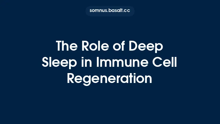 The Role of Deep Sleep in Immune Cell Regeneration Thumbnail