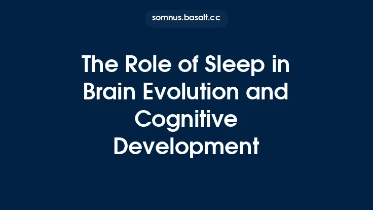 The Role of Sleep in Brain Evolution and Cognitive Development Thumbnail