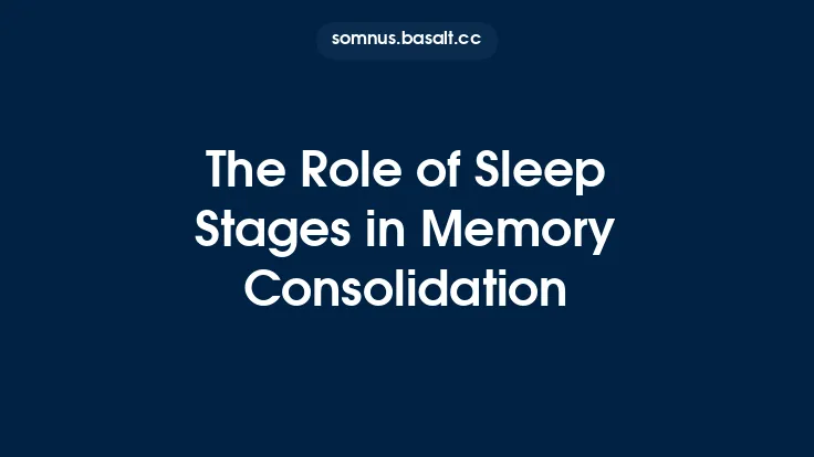 The Role of Sleep Stages in Memory Consolidation Thumbnail