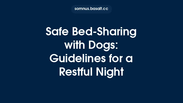 Safe Bed‑Sharing with Dogs: Guidelines for a Restful Night Thumbnail