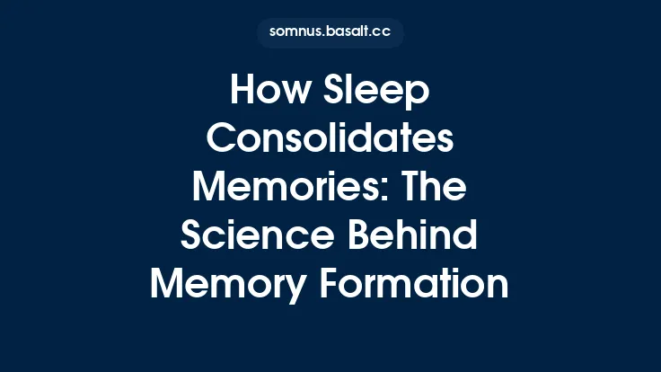 How Sleep Consolidates Memories: The Science Behind Memory Formation Thumbnail