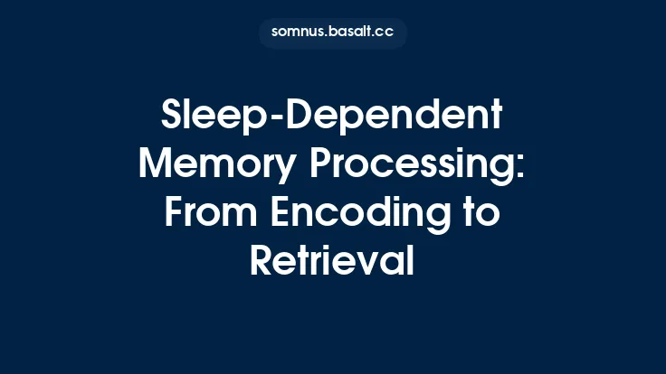 Sleep-Dependent Memory Processing: From Encoding to Retrieval Thumbnail