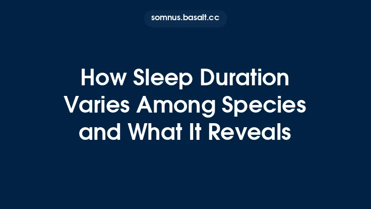 How Sleep Duration Varies Among Species and What It Reveals Thumbnail