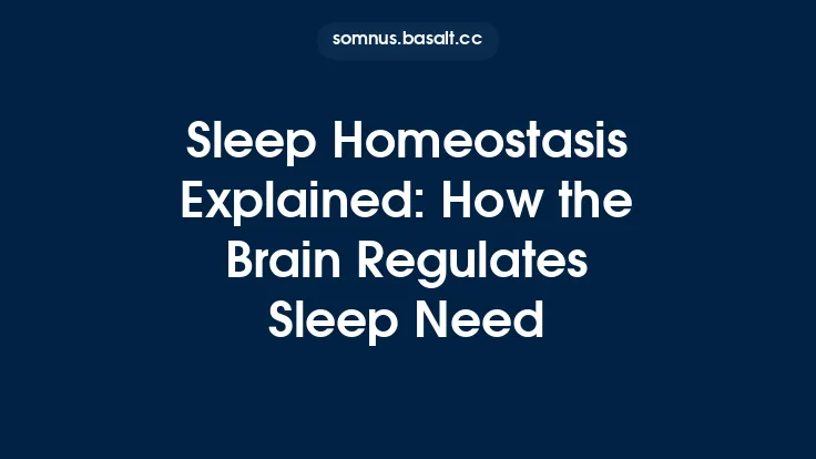 Sleep Homeostasis Explained: How the Brain Regulates Sleep Need Thumbnail