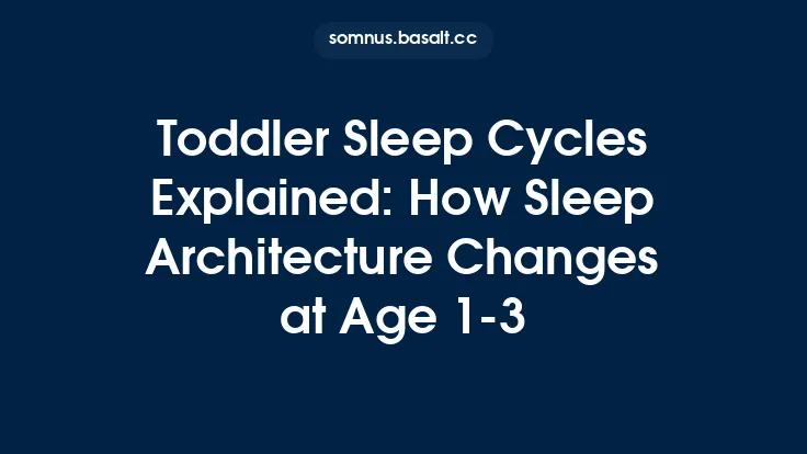 Toddler Sleep Cycles Explained: How Sleep Architecture Changes at Age 1‑3 Thumbnail