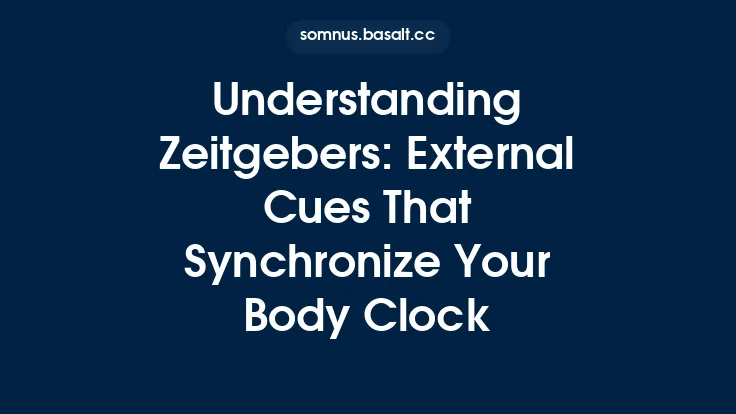 Understanding Zeitgebers: External Cues That Synchronize Your Body Clock Thumbnail