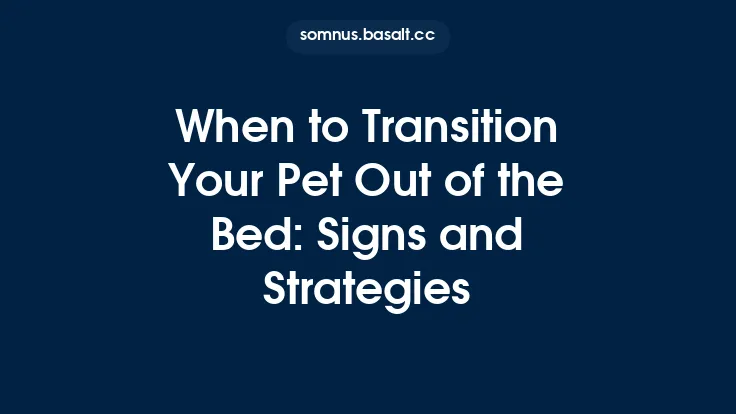 When to Transition Your Pet Out of the Bed: Signs and Strategies Thumbnail