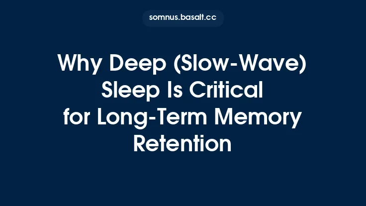 Why Deep (Slow-Wave) Sleep Is Critical for Long-Term Memory Retention Thumbnail