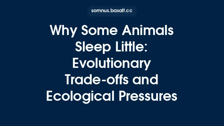 Why Some Animals Sleep Little: Evolutionary Trade‑offs and Ecological Pressures Thumbnail
